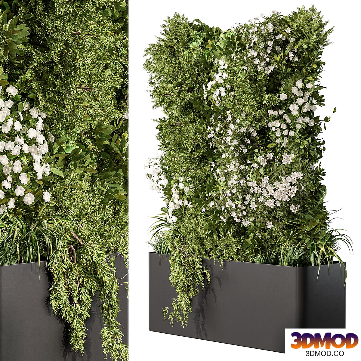 Vertical Garden - Outdoor Green Wall 70 植物盆栽
