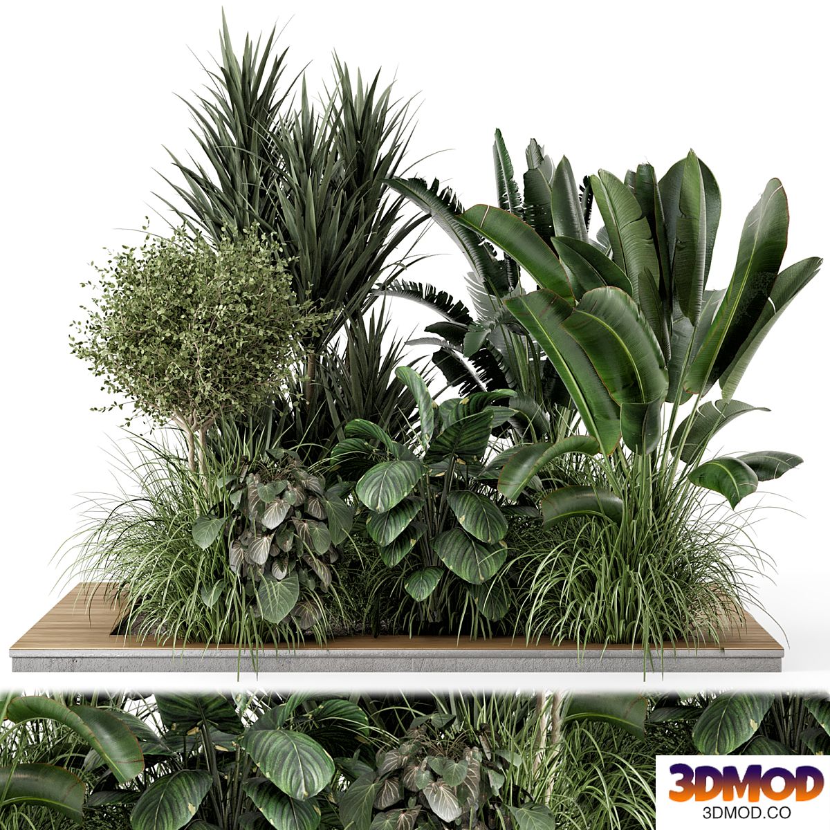 Outdoor Garden Set Bush and Tree - Garden Set 1259 植物景观