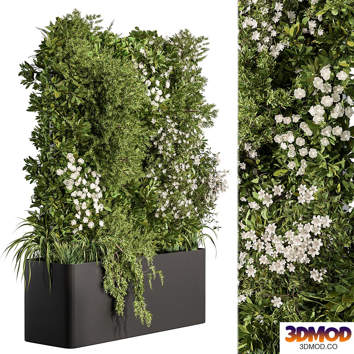 Vertical Garden - Outdoor Green Wall 70 植物花圃花坛