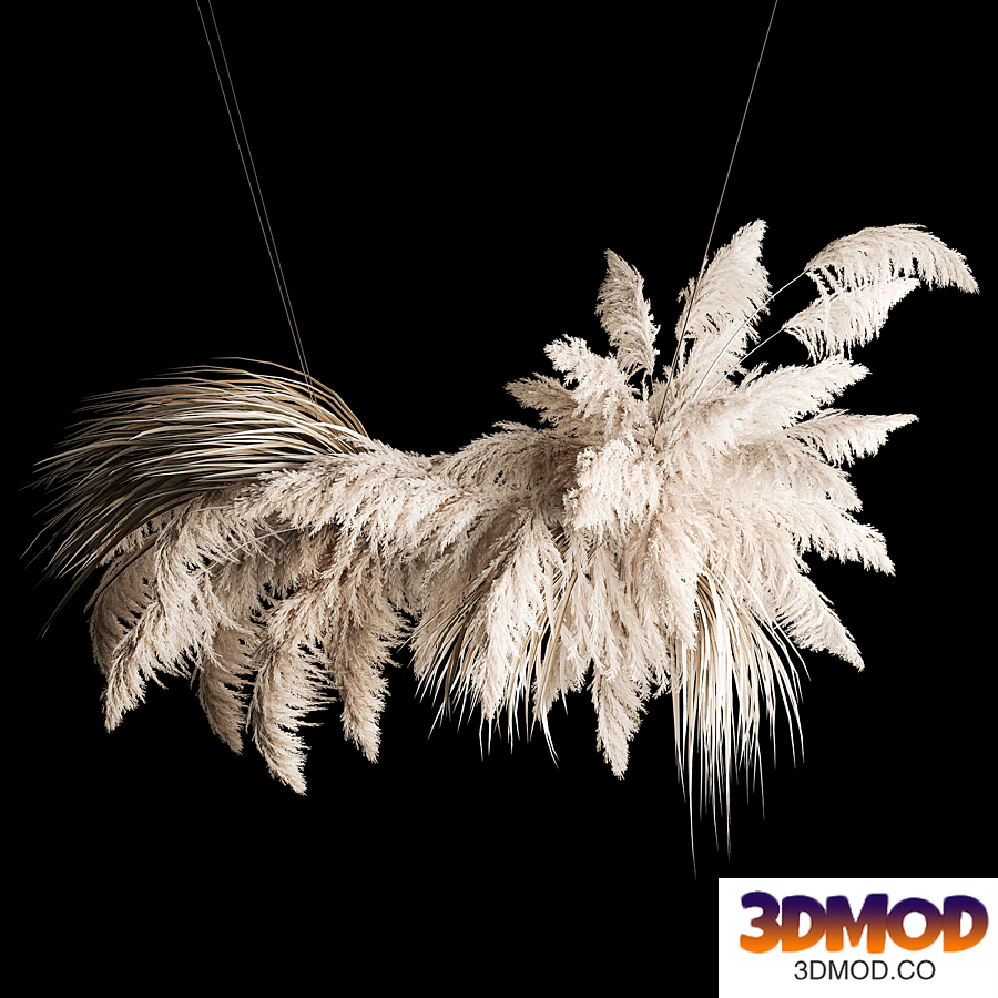 Hanging bouquet installation of white reeds dried flower from pampas grass, reed, Cortaderia. 260. 吊灯