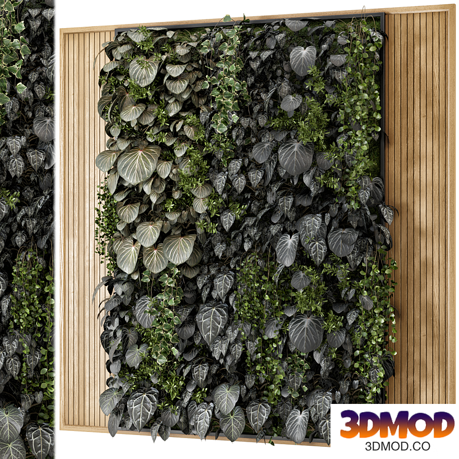 Indoor Wall Vertical Garden Set - Set 910 植物墙
