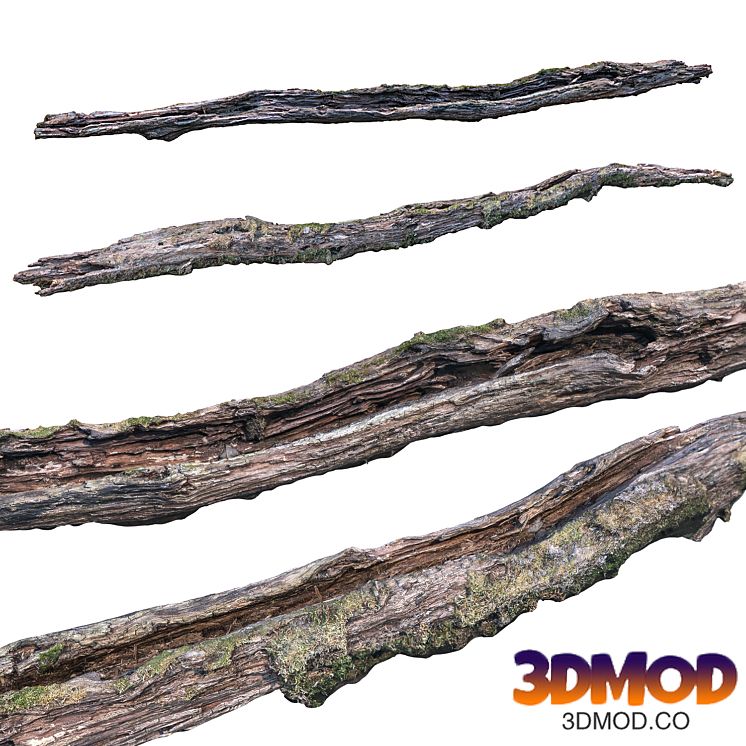 Rotten log, snag 木条