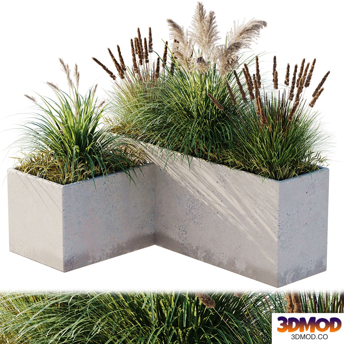 outdoor plant set 10 花圃花坛