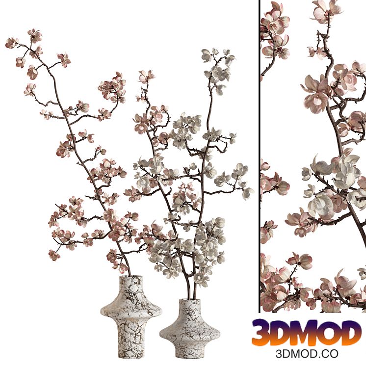 Flowering branches in a vase 02 花瓶