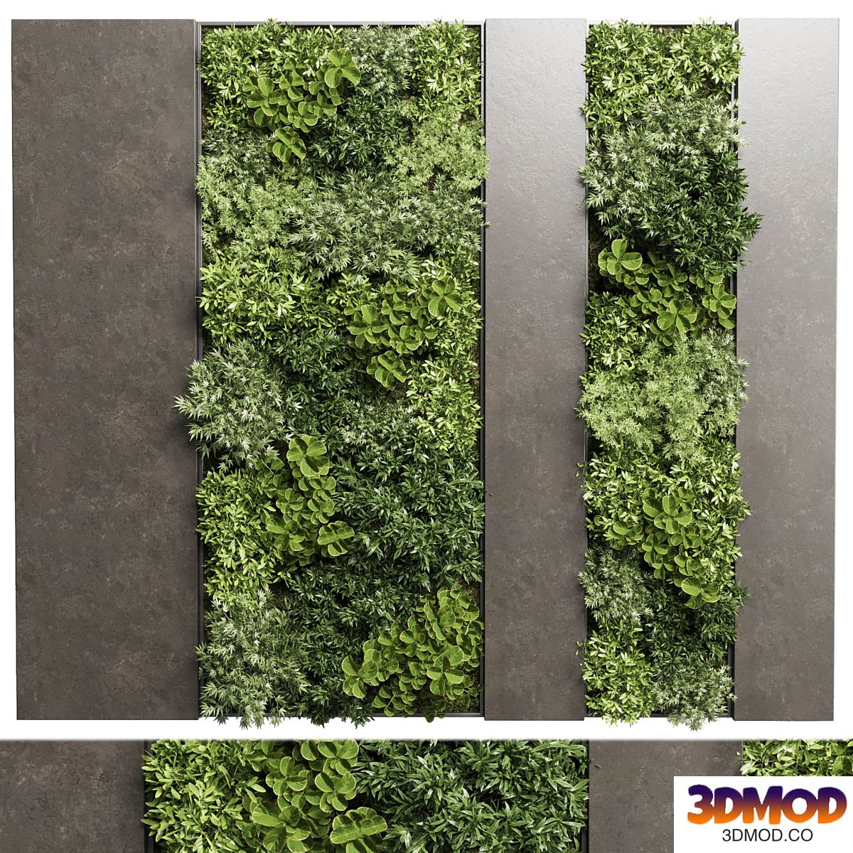 Vertical Wall Garden With Wooden frame - set of wall decor indoor 45 植物墙