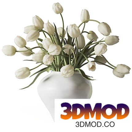 White tulips in a white clay vase 花瓶