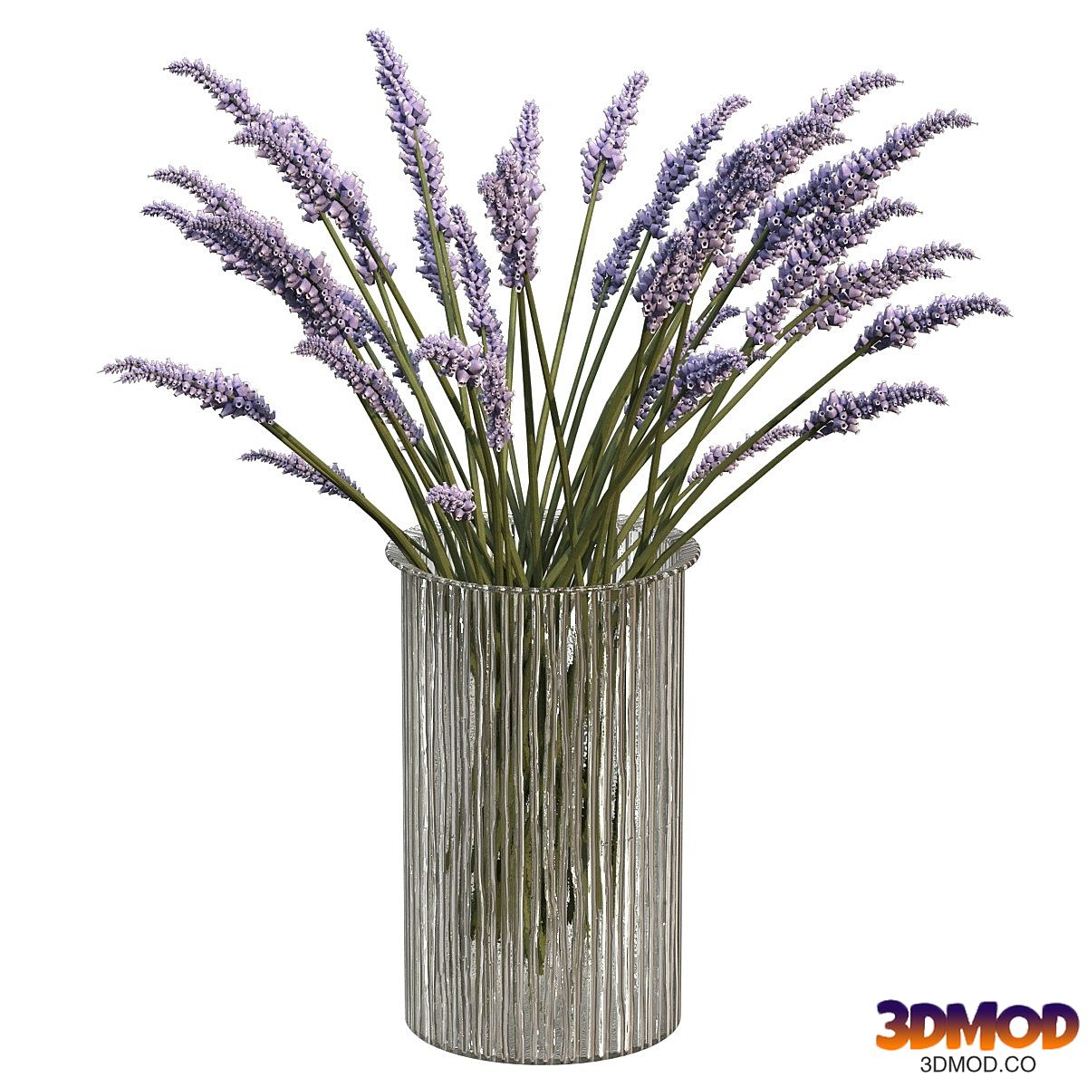 Bouquet of lavender 花瓶