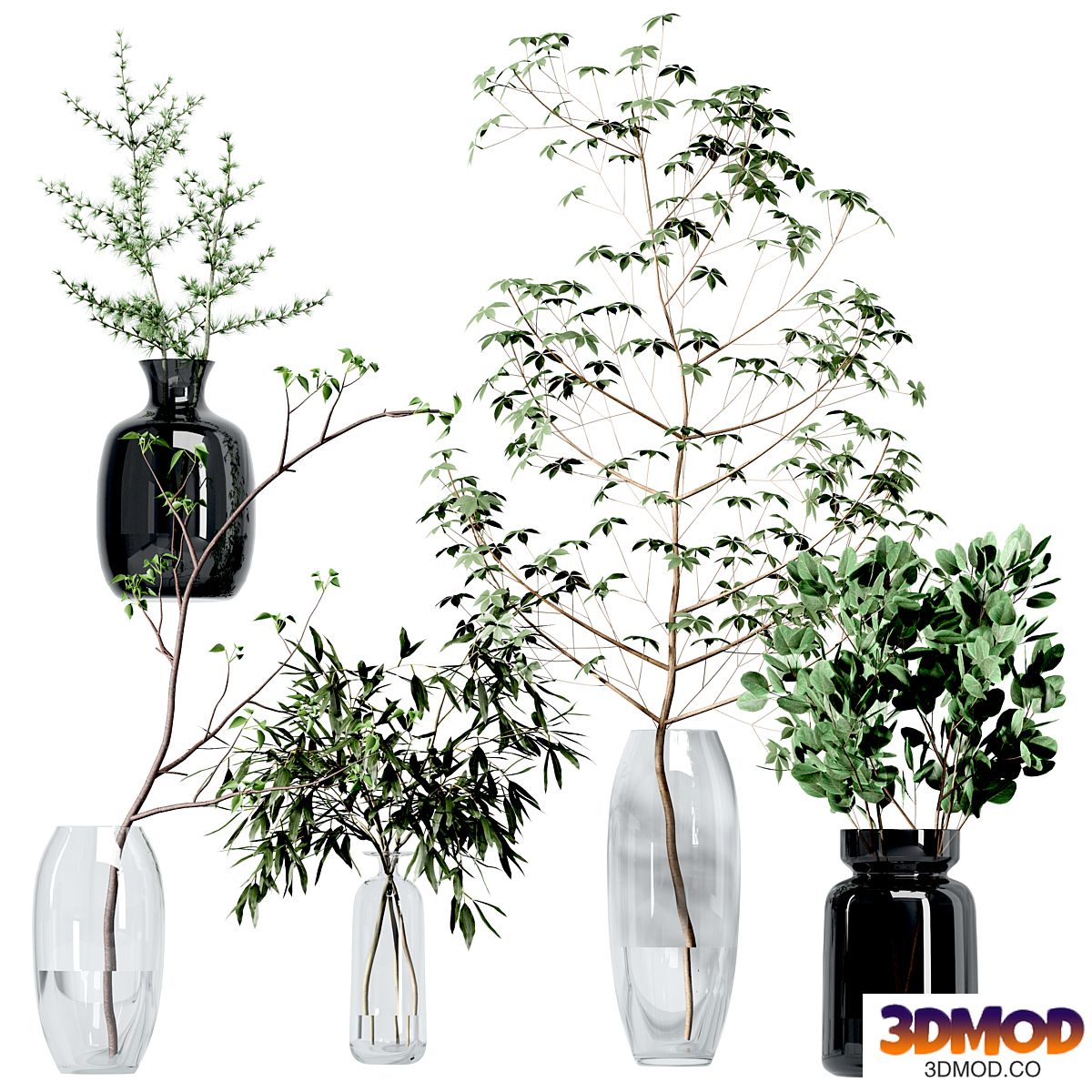 Set of branches in vases