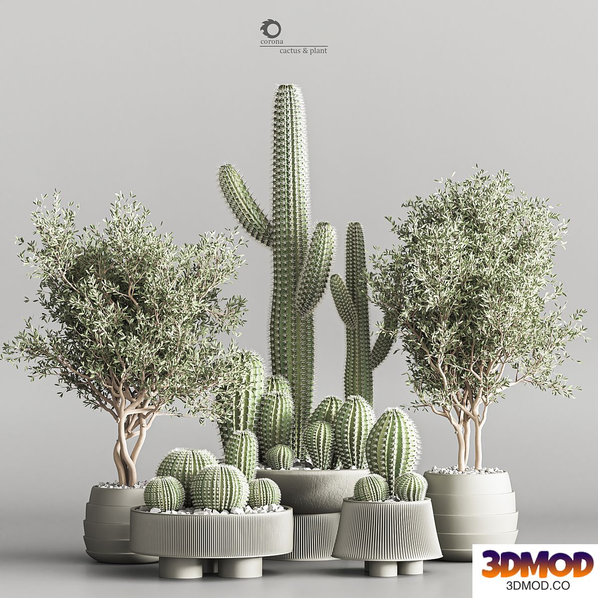 Cactus & plant vol 01 植物盆栽
