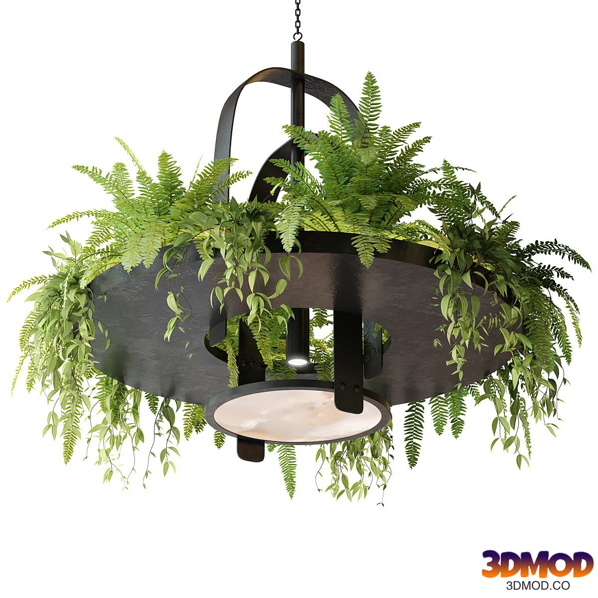 Hanging lamp with plants