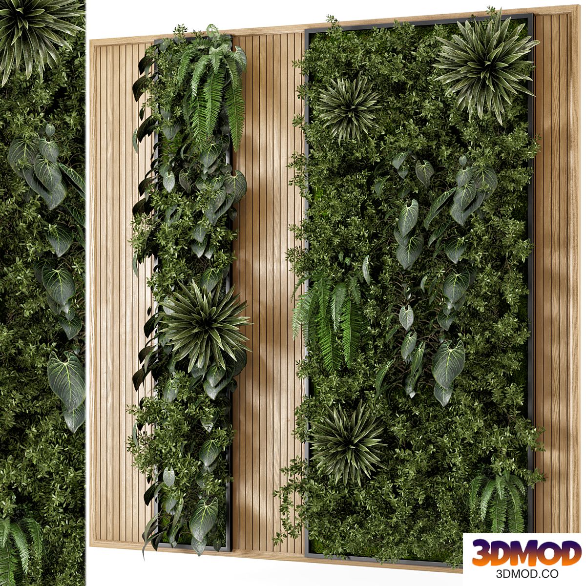 Indoor Wall Vertical Garden in Wooden Base - Set 536 植物墙