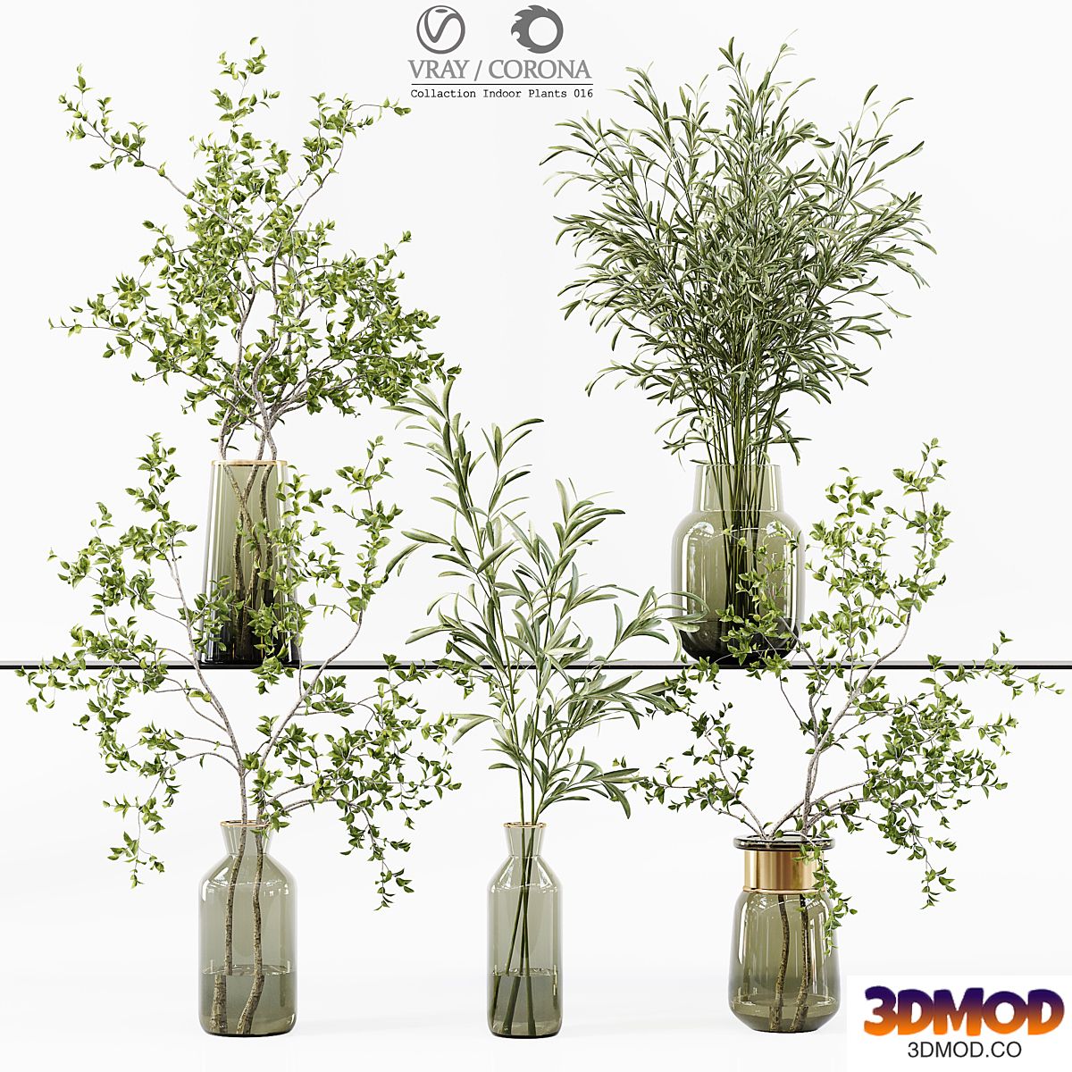 Collection Indoor Plants 016