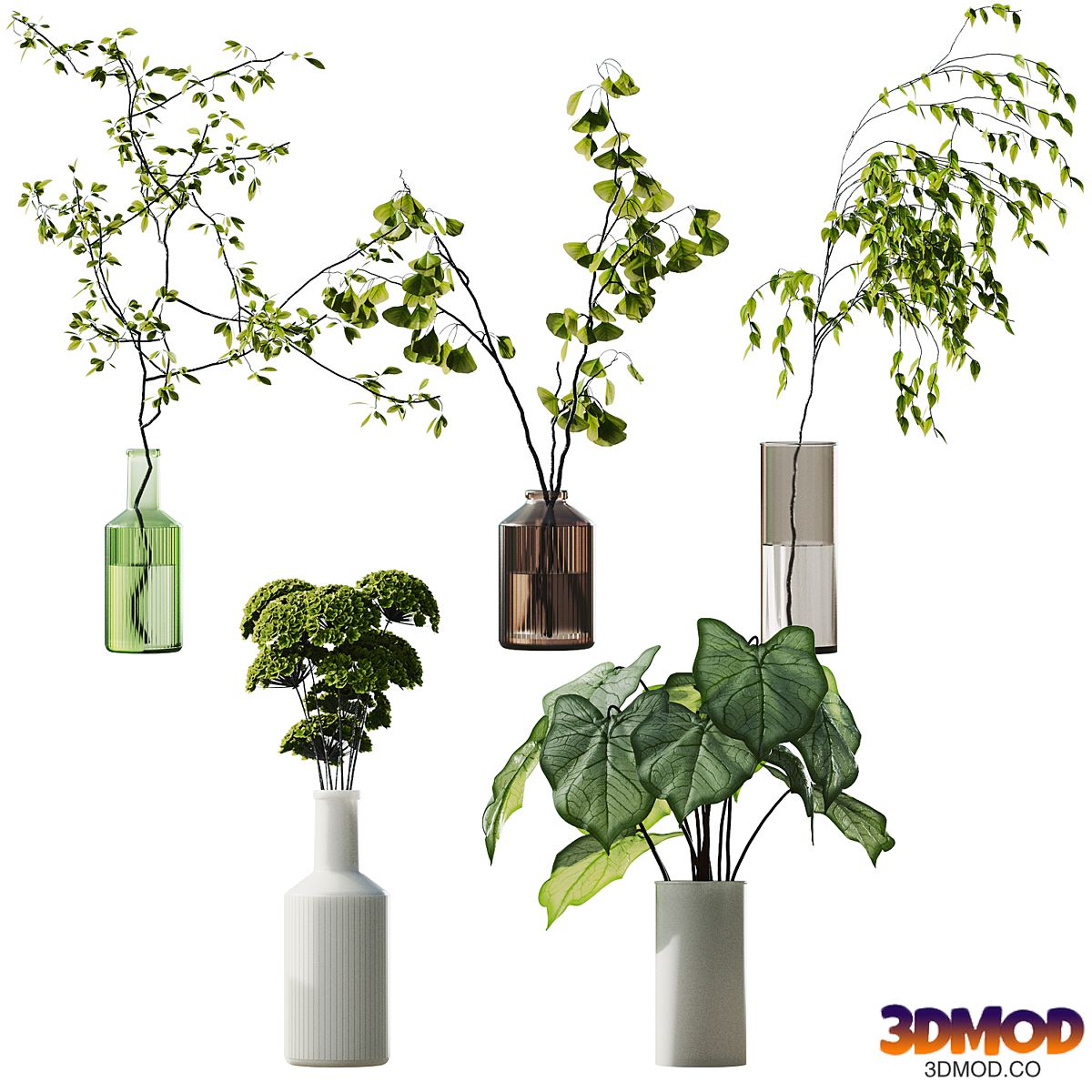 plant collection 4