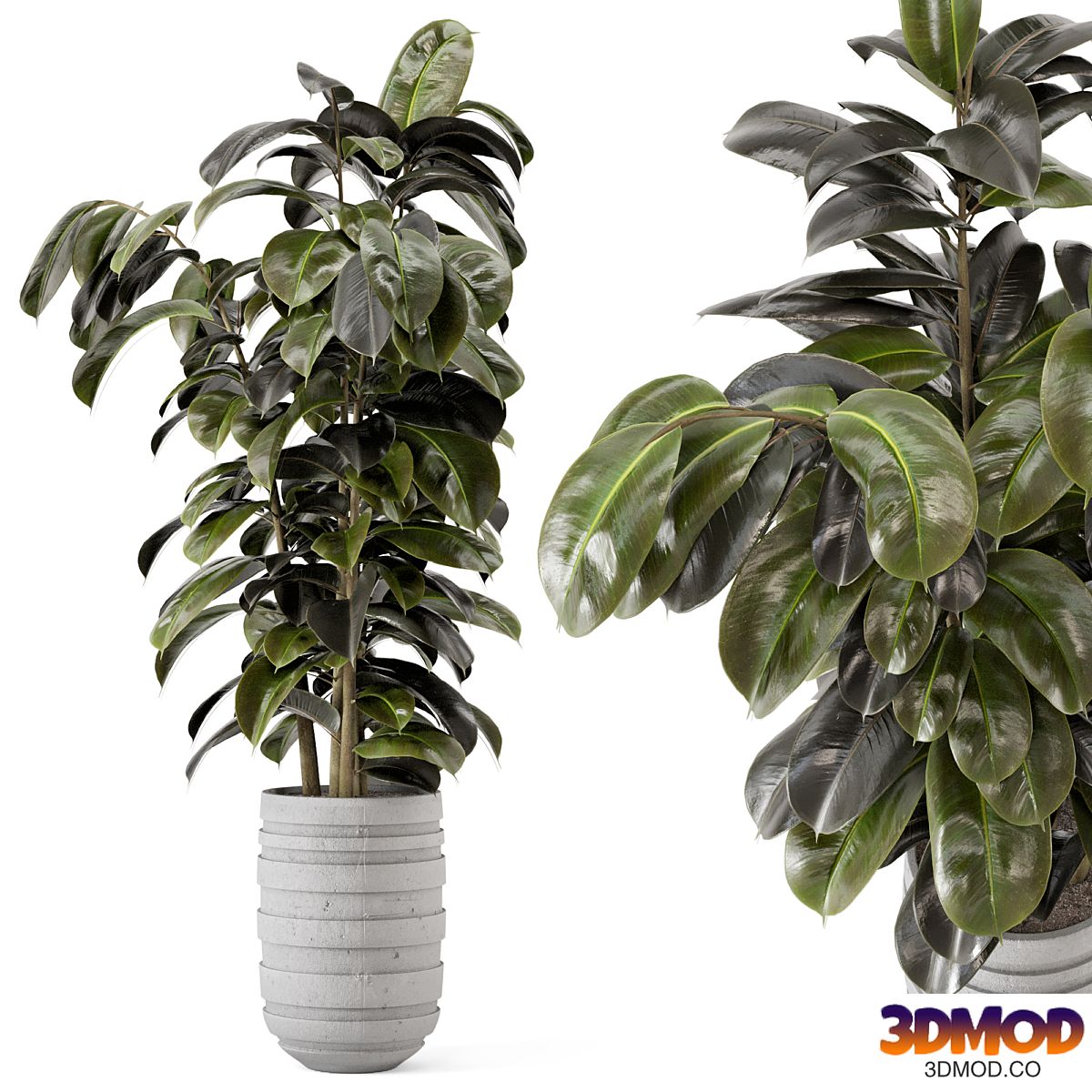 Indoor Plants in rusty Concrete Pot - Set 549 植物盆栽