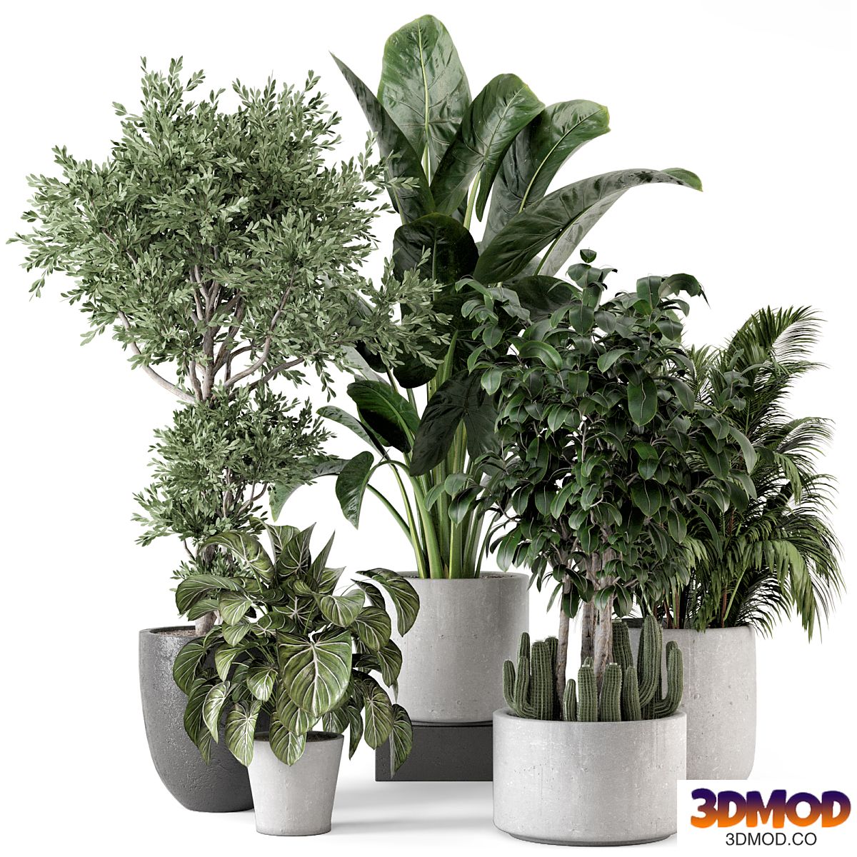 Indoor Plants in rusty Concrete Pot - Set 584