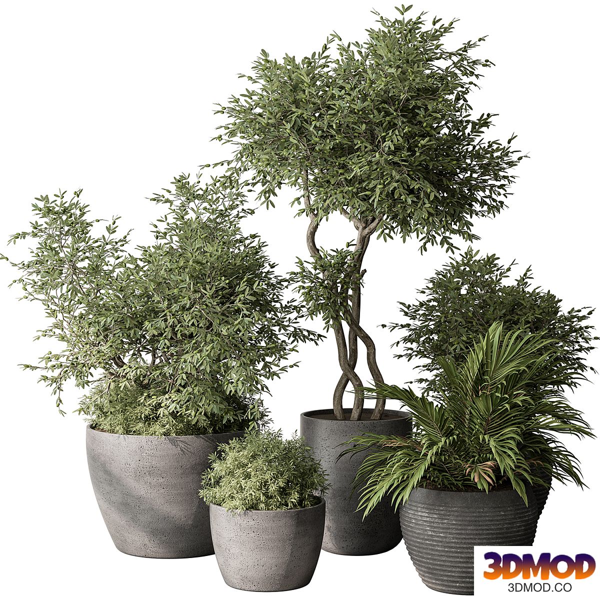 Outdoor Plant Set 393 - Plant Set in Concrete Pot