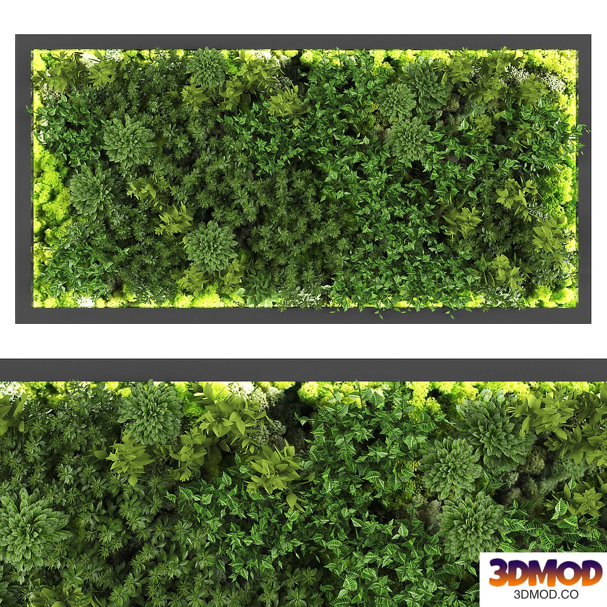 vertical garden169 植物墙
