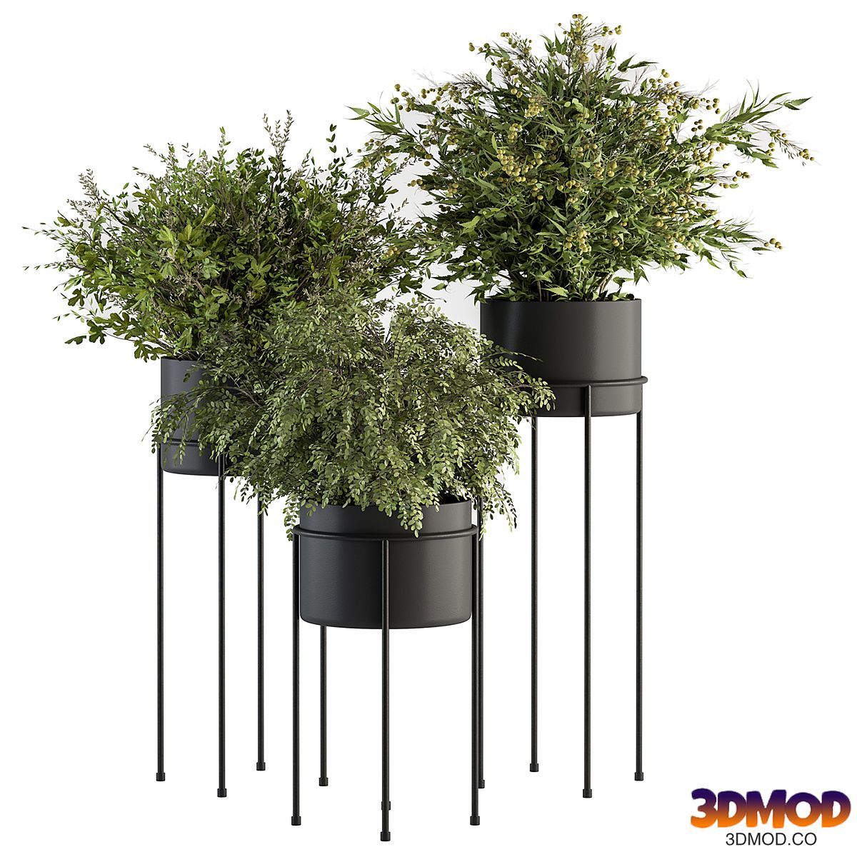 indoor Plant Set 371- Bush and Plant Set in Black stand 植物盆栽