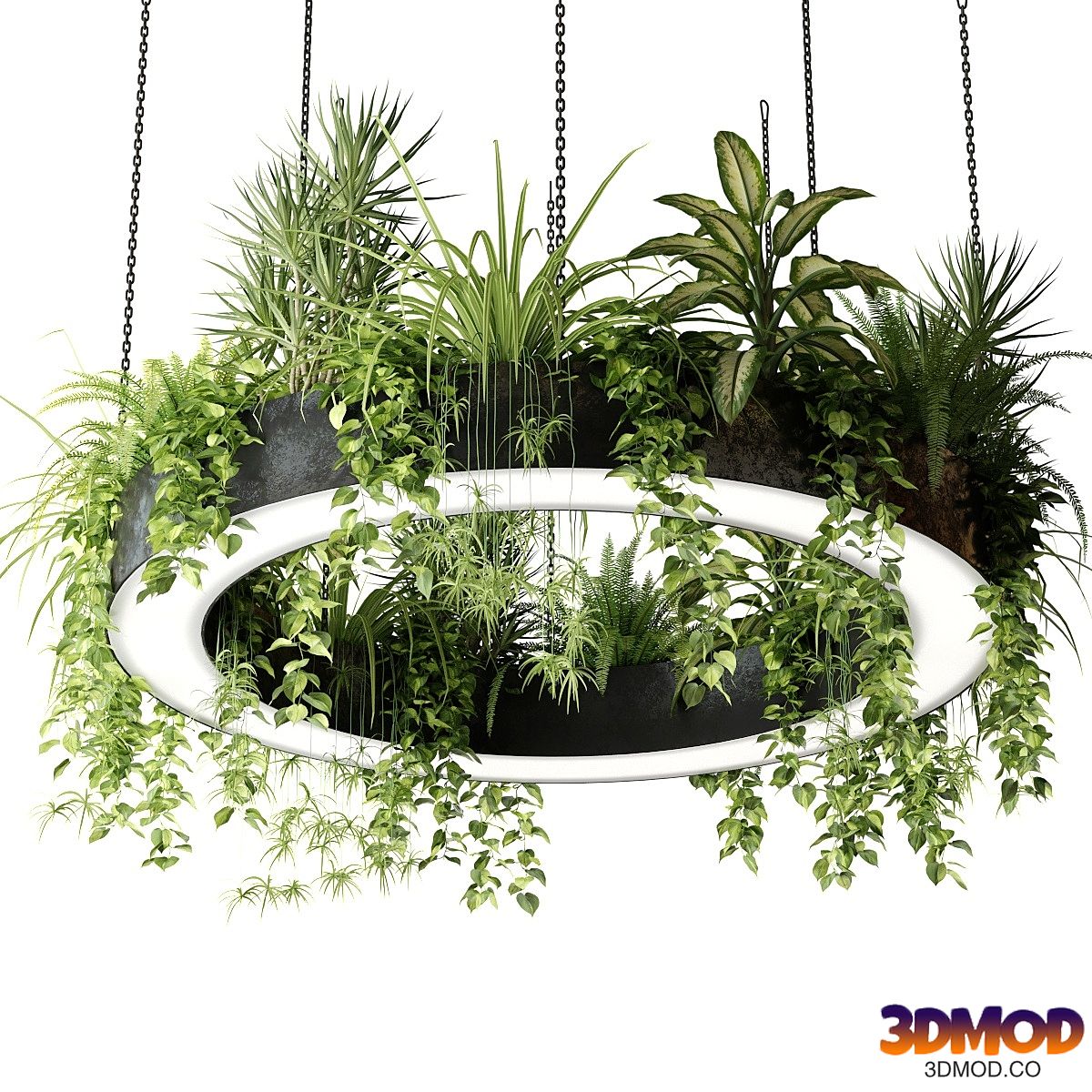Ring lamp planter with plants