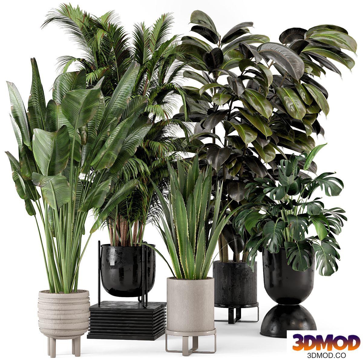 Indoor Plants in Ferm Living Bau Pot Large - Set 572