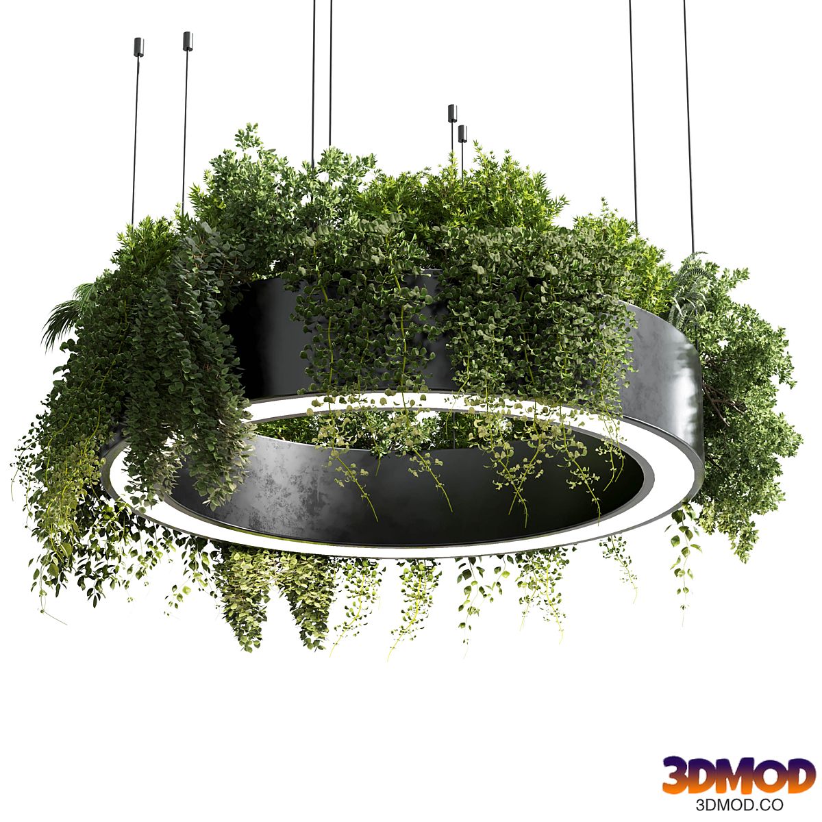 circle pot light - pendant plant light hanging 05