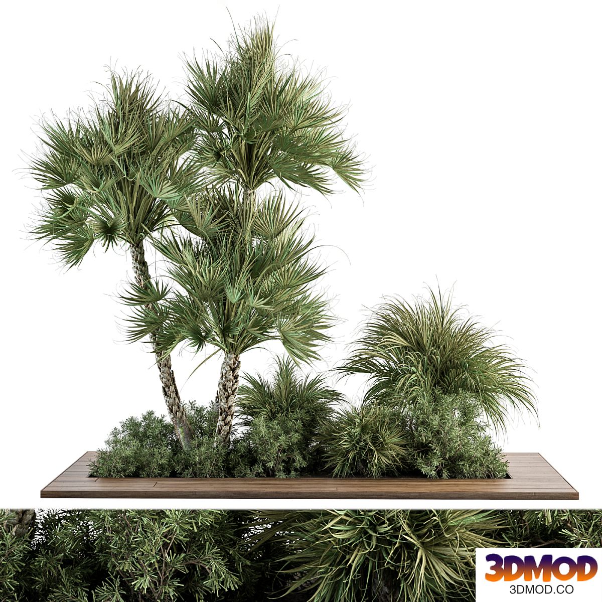 Garden Set Tropical Plants - Outdoor Plants Set 369 花圃植物景观