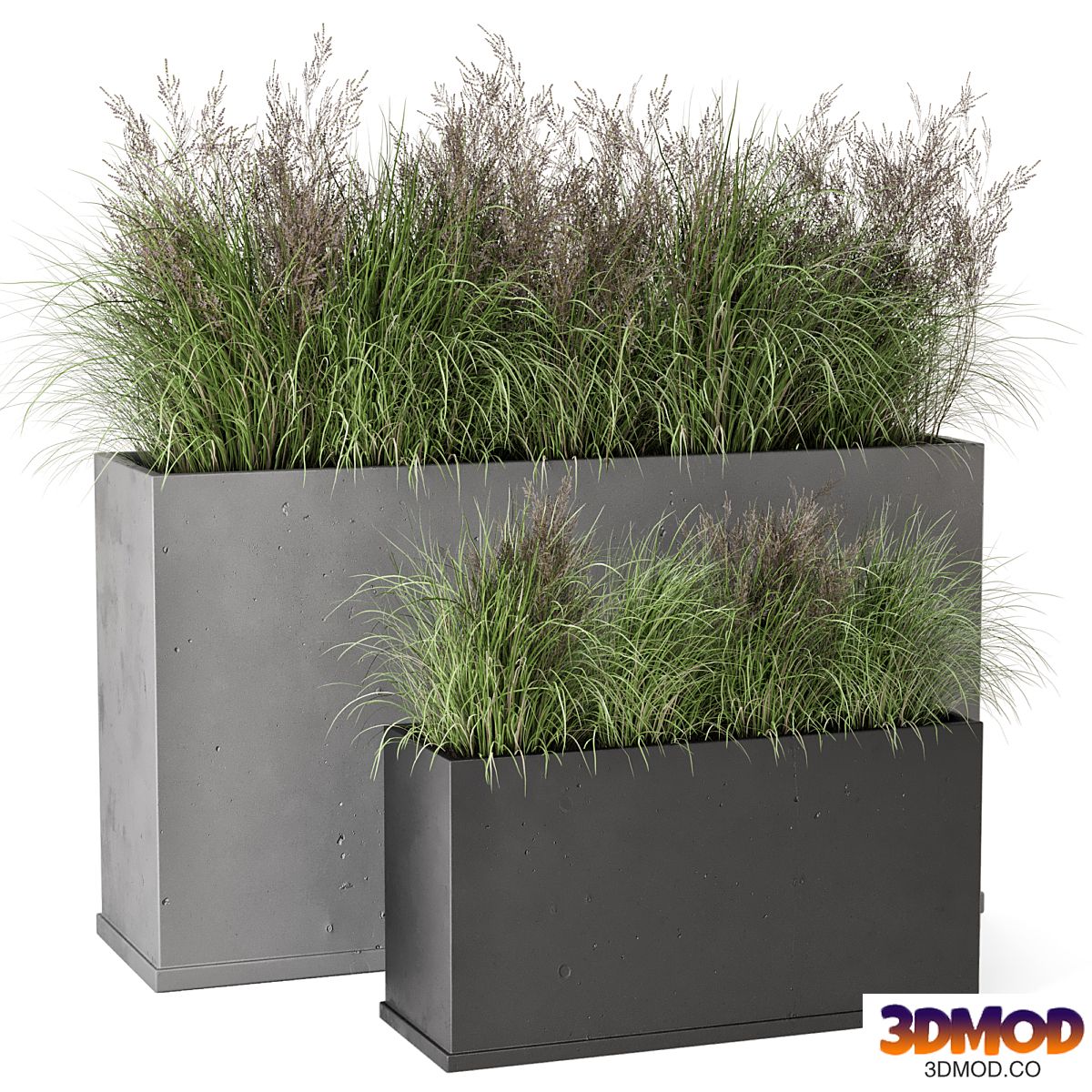 Outdoor Plants Bush in rusty Concrete Pot - Set 565 植物盆栽