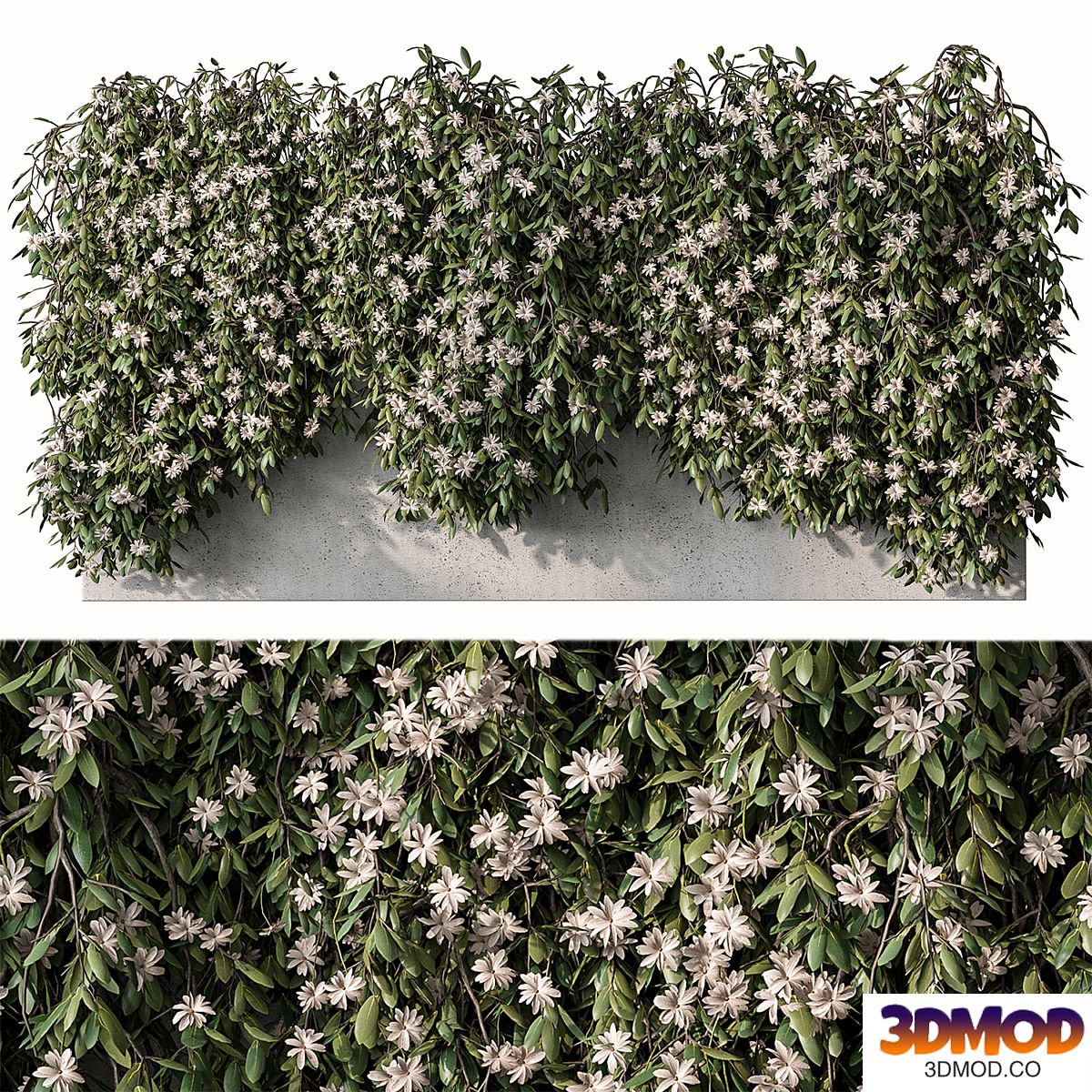 Outdoor Hanging Plants with White Flower - Set 390
