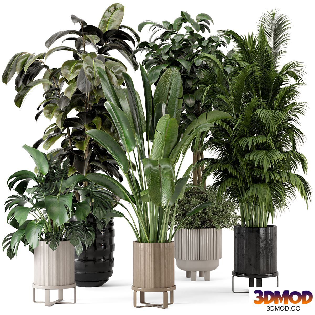 Indoor Plants in Ferm Living Bau Pot Large - Set 548 植物盆栽