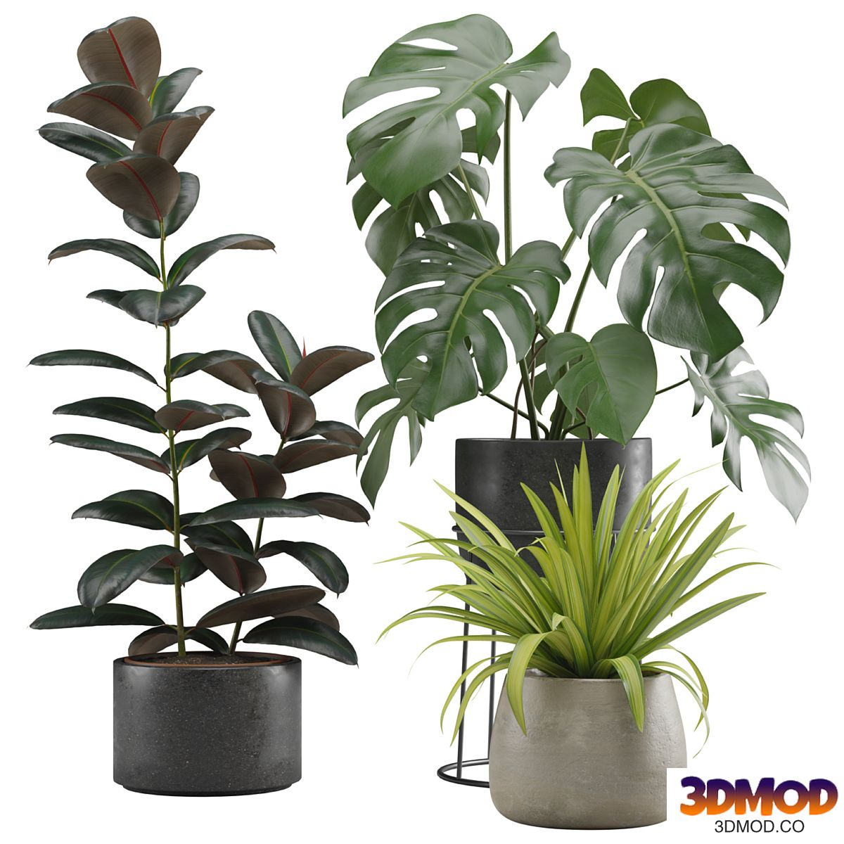Indoor Plants Pack 15