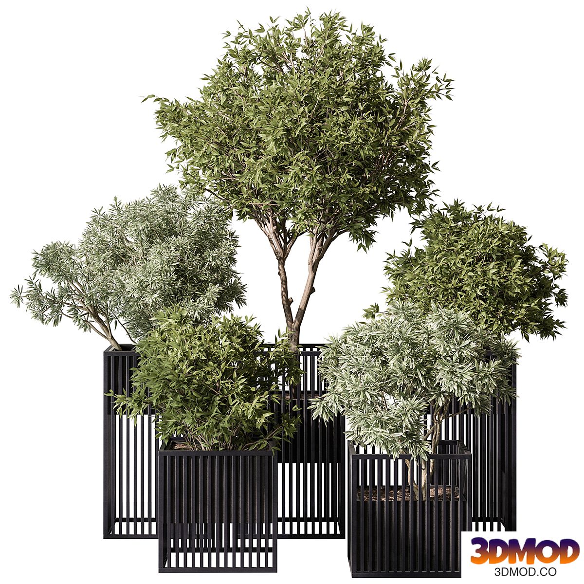 indoor Plant Set 380- Tree and Plant Set in pot