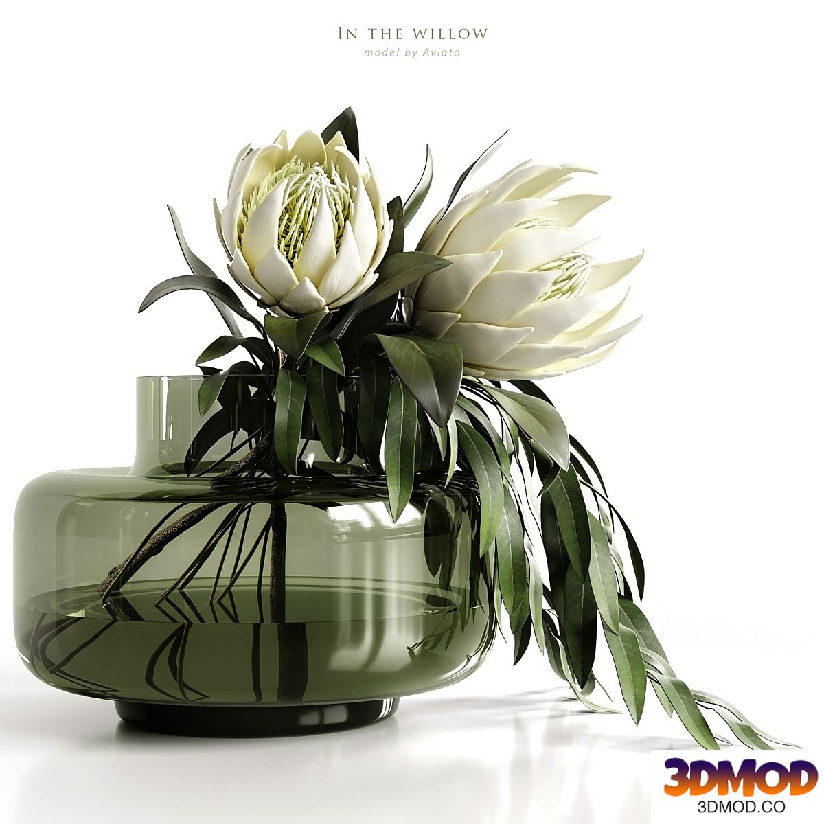 in the willow