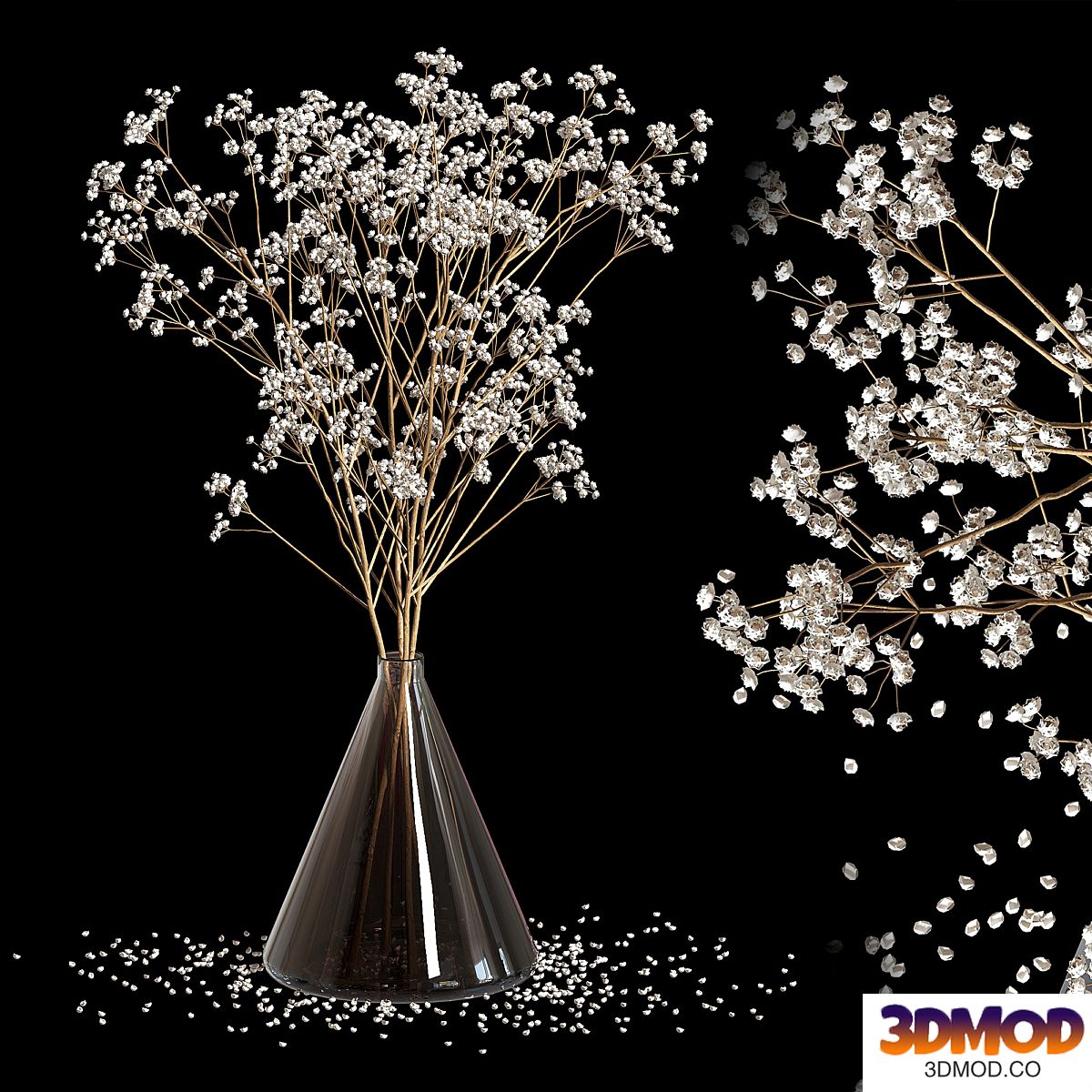Dry Flowers_2
