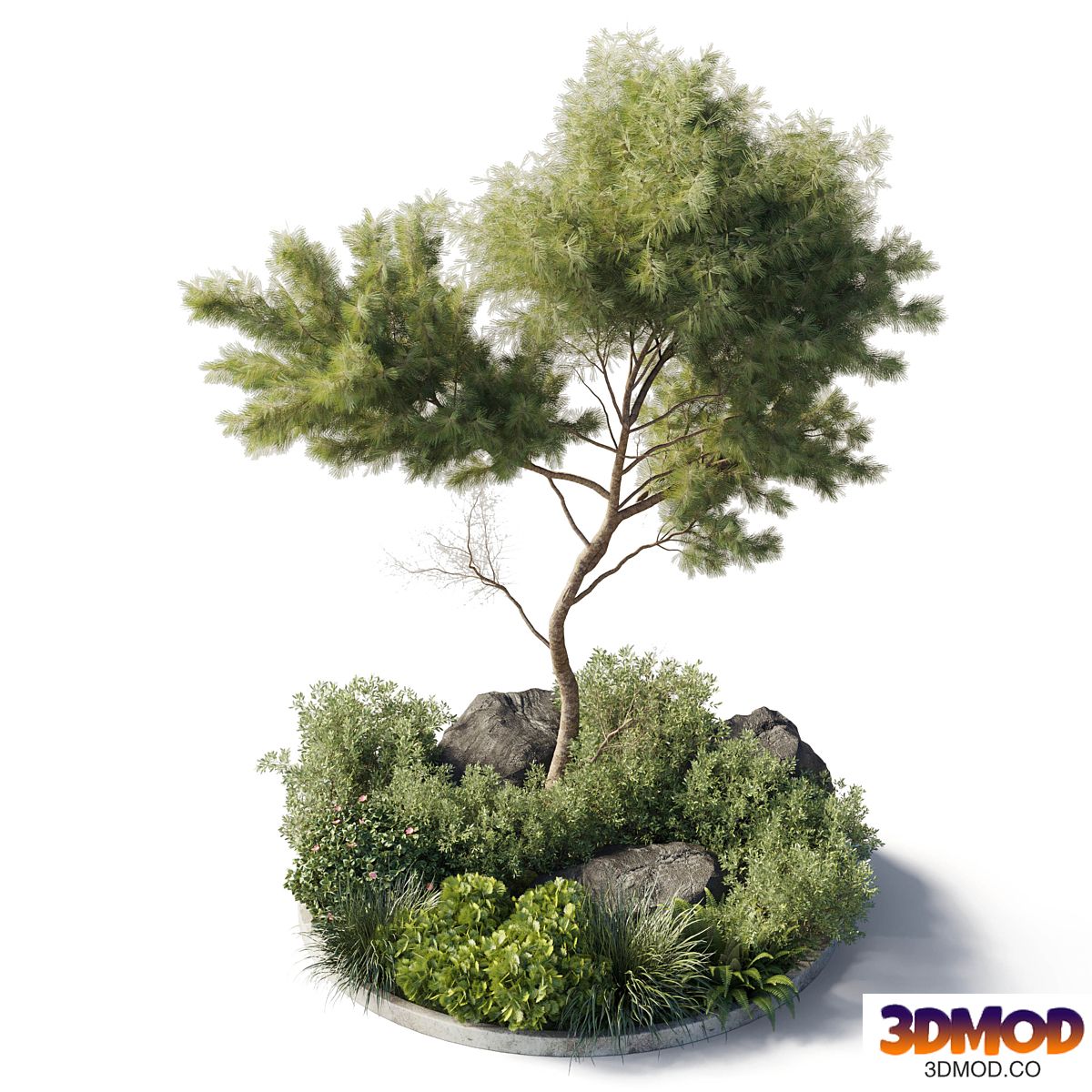 Collection outdoor indoor 81 pot plant & tree & bush & fern the garden pot corona 植物景观树