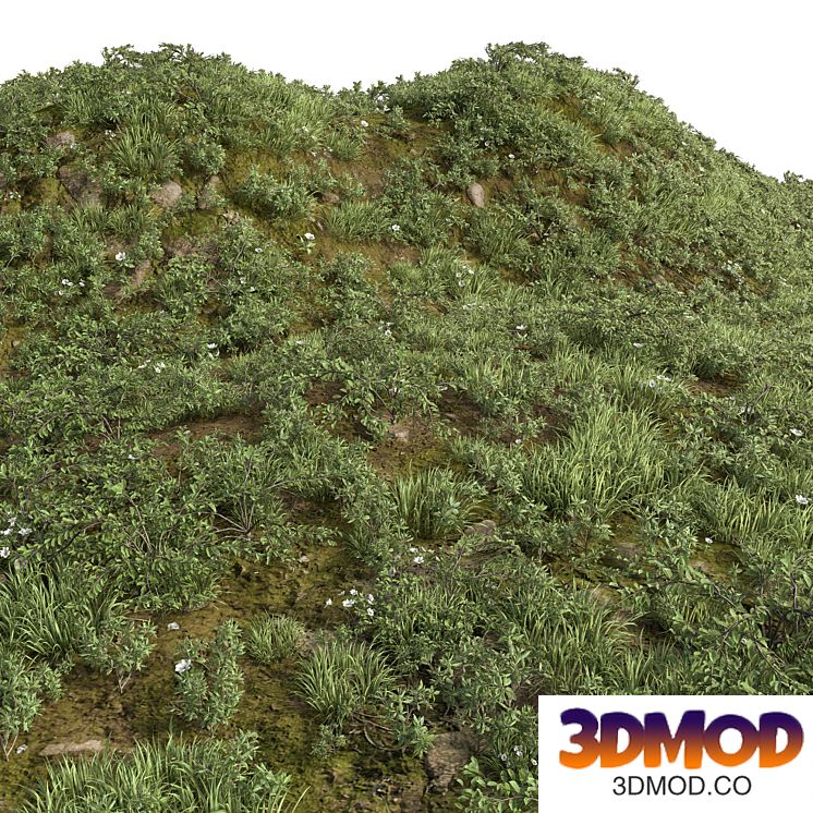 GRASS COLLECTION FOR LANDSCAPE NO12