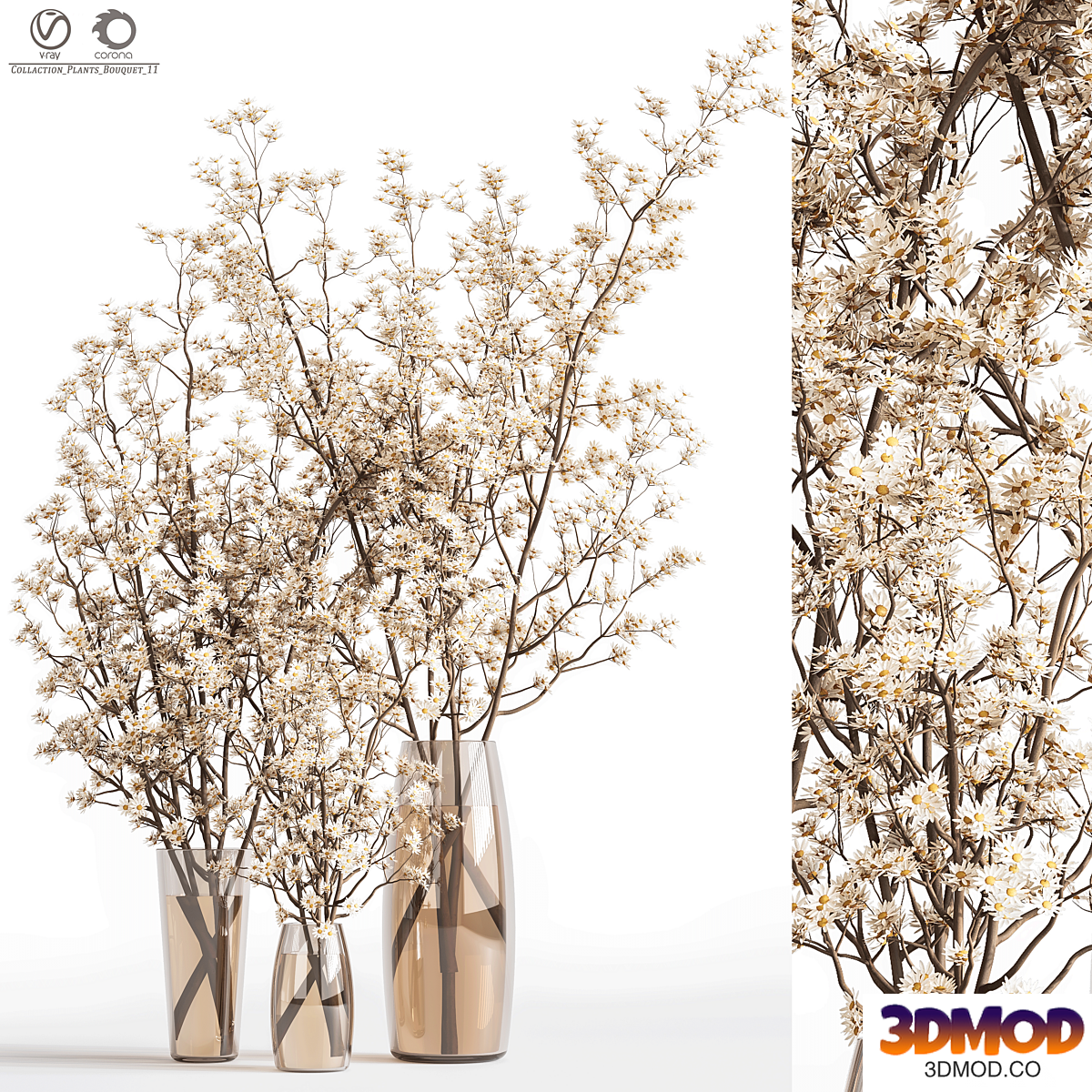 Collaction_Plants_Bouquet_11