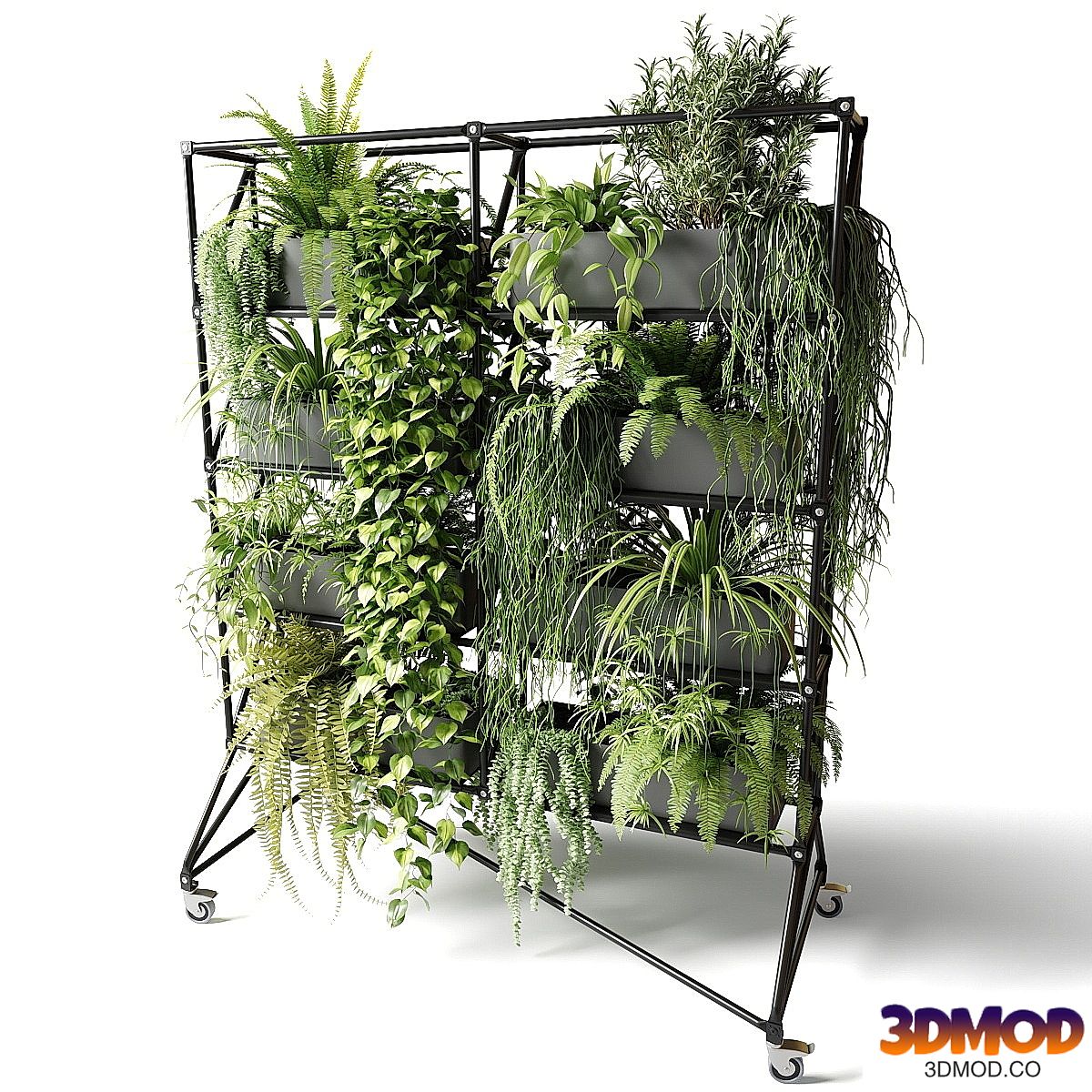Mobile rack with plants
