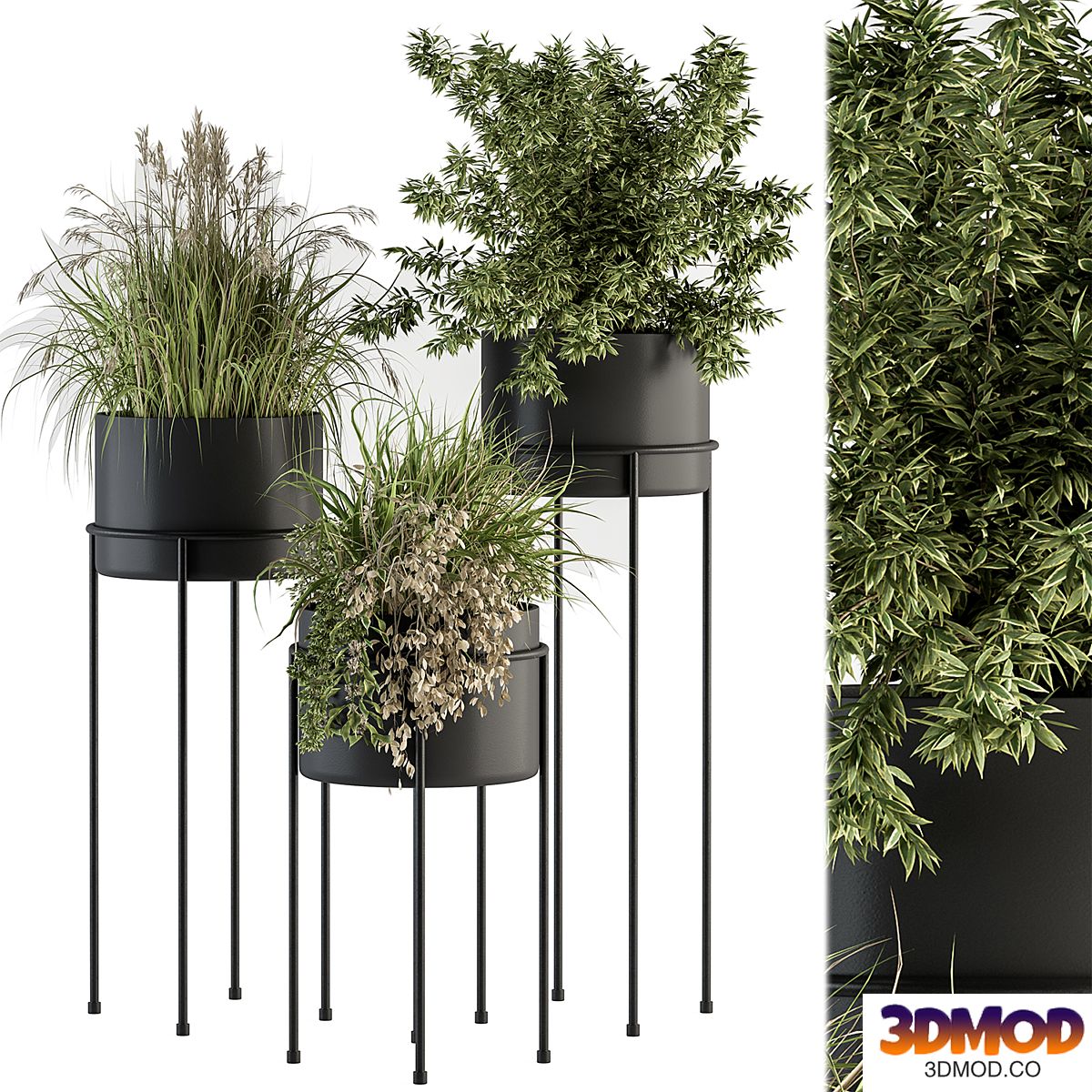 indoor Plant Set 370 - Tree and Plant Set Stand pot 植物盆栽