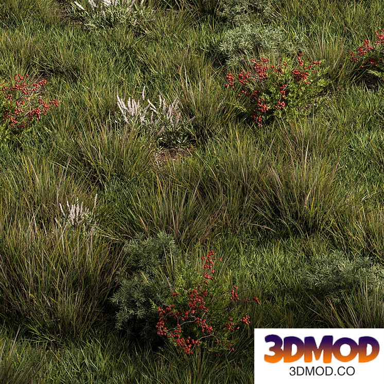 Nature Meadow - Grass Set 17