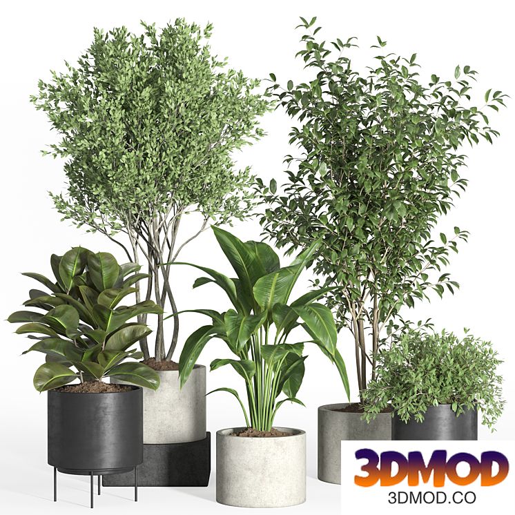 indoor plant set 35-concrete and metal pot