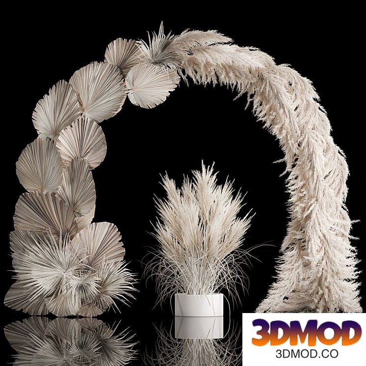 Wedding arch for decoration and decoration of the celebration with a bouquet of white pampas grass and dry palm branches
