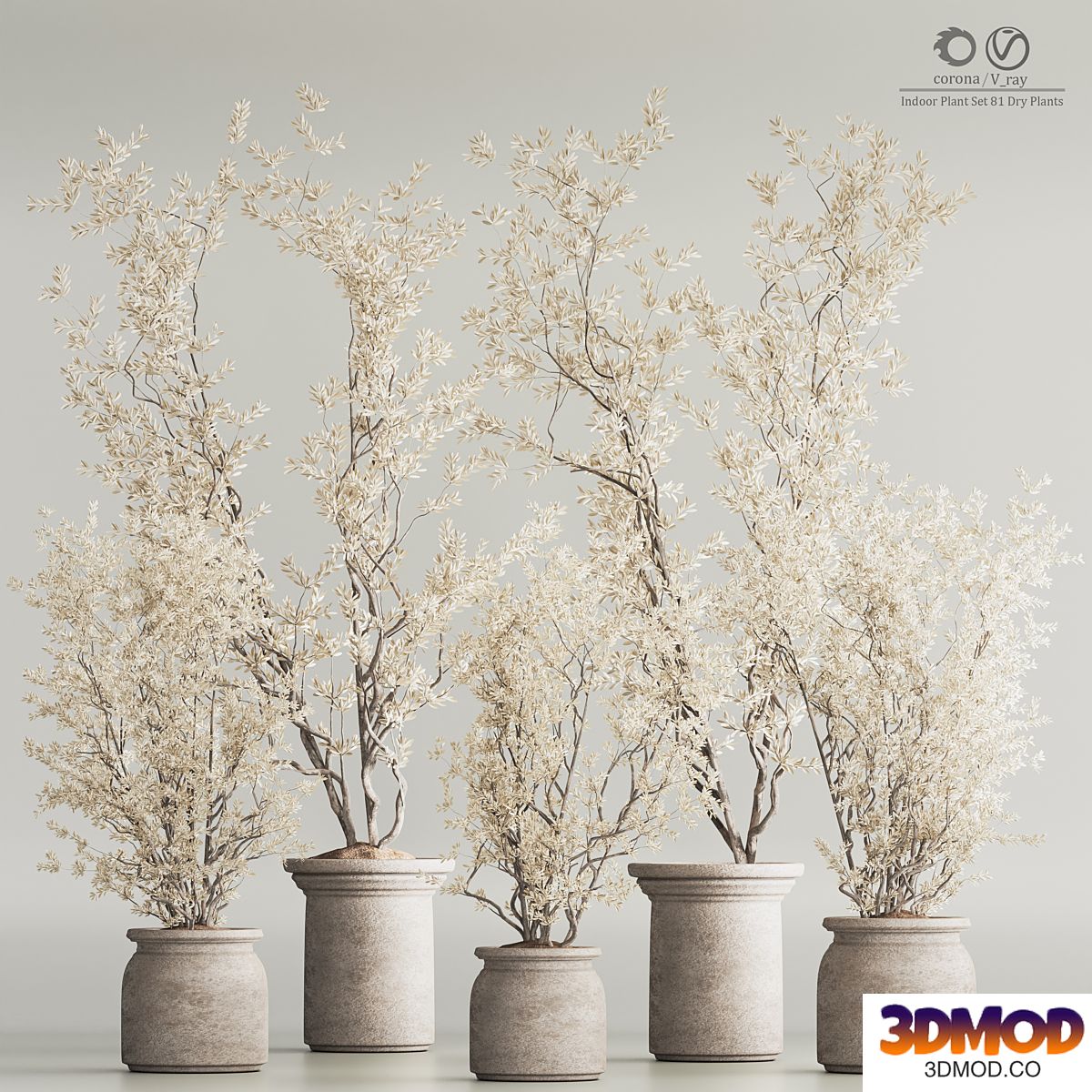 Indoor Plant Set 81 Dry Plants