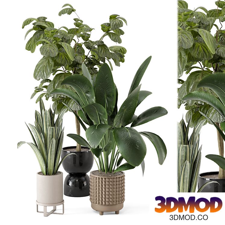 Indoor Plants in Ferm Living Bau Pot Large - Set 1044