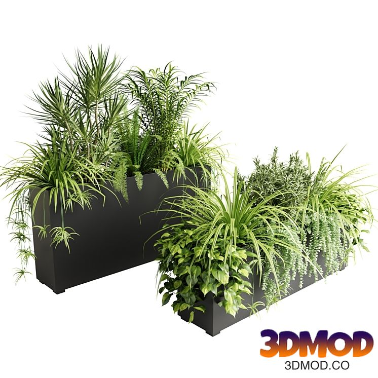 Indoor plants in outdoor boxes