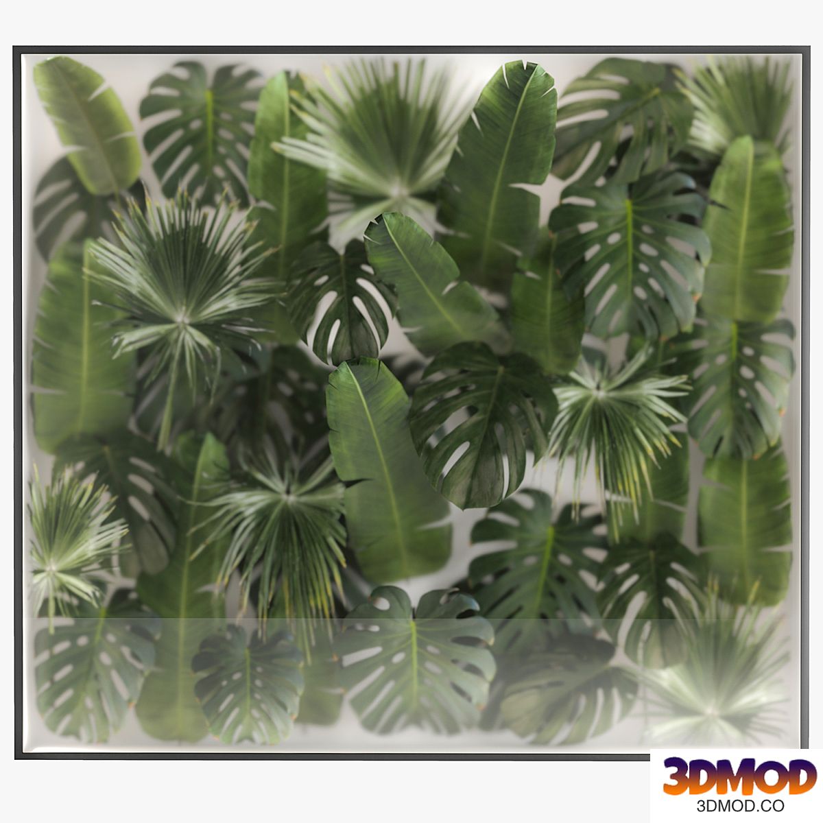 Phytowall and phytobox made of banana palm branches and fan palm leaves in a niche behind a translucent stack. Bouquet 287.