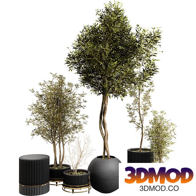 Plant Collection Set 03