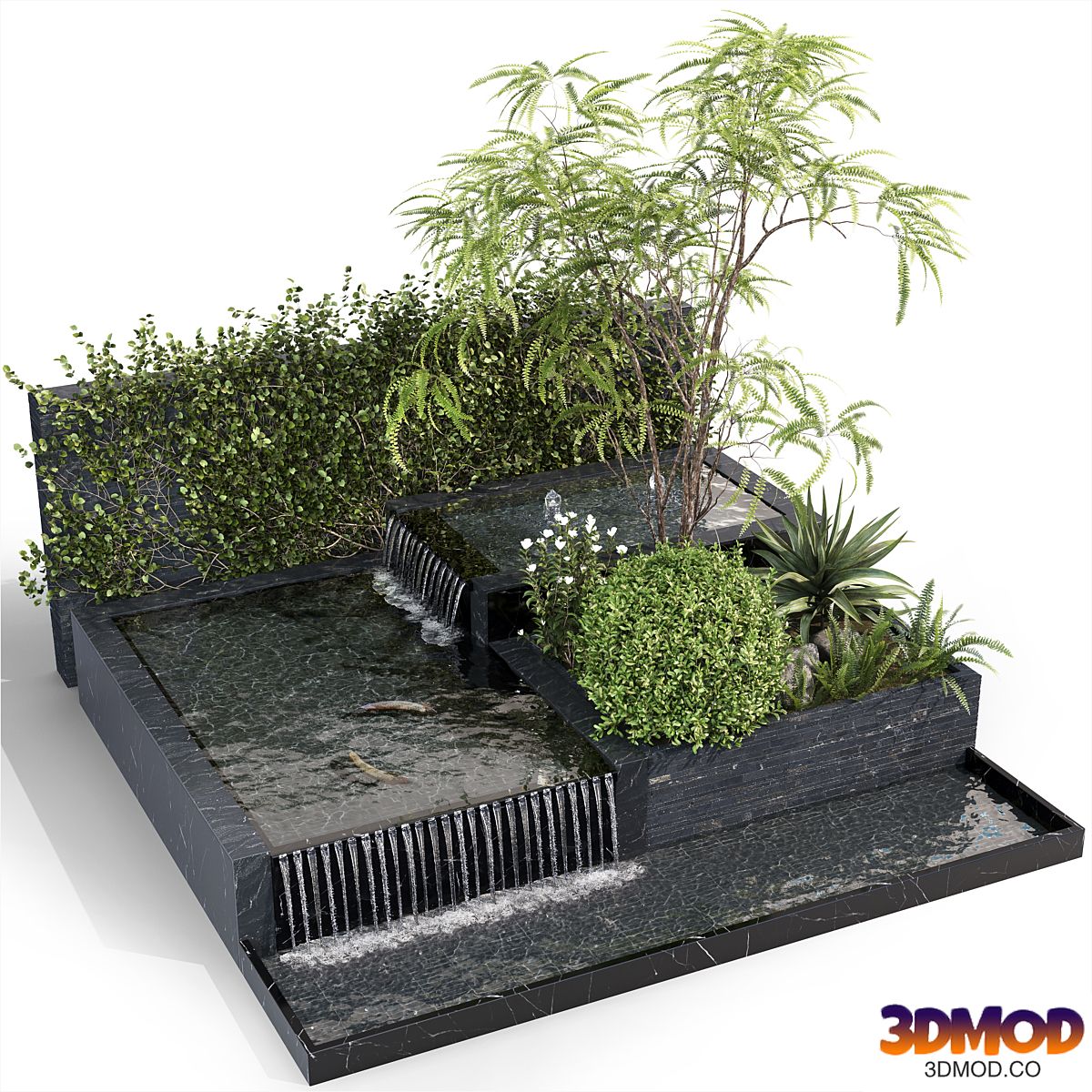 Water Ponds With Plants & fish
