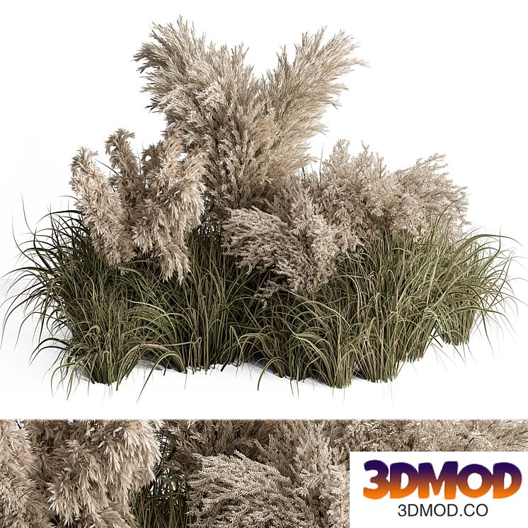 Mixed Pampas Plant Bush Set 95