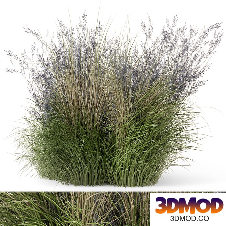 Outdoor Plants Bush-Bush Set 660
