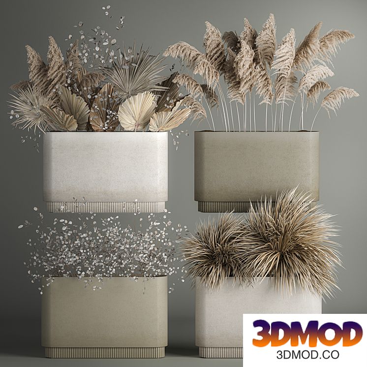 Collection of plant bouquets of dried flowers, moonflower, dry palm branches, dry grass, natural decor .1121.